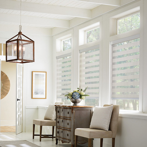 Transitional shades in a Riverside living room